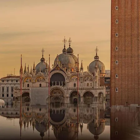 Iside Проживание в семье Целарино